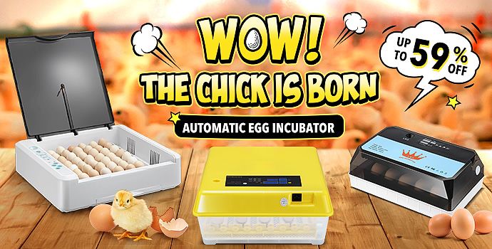 Egg Incubator Promotion
